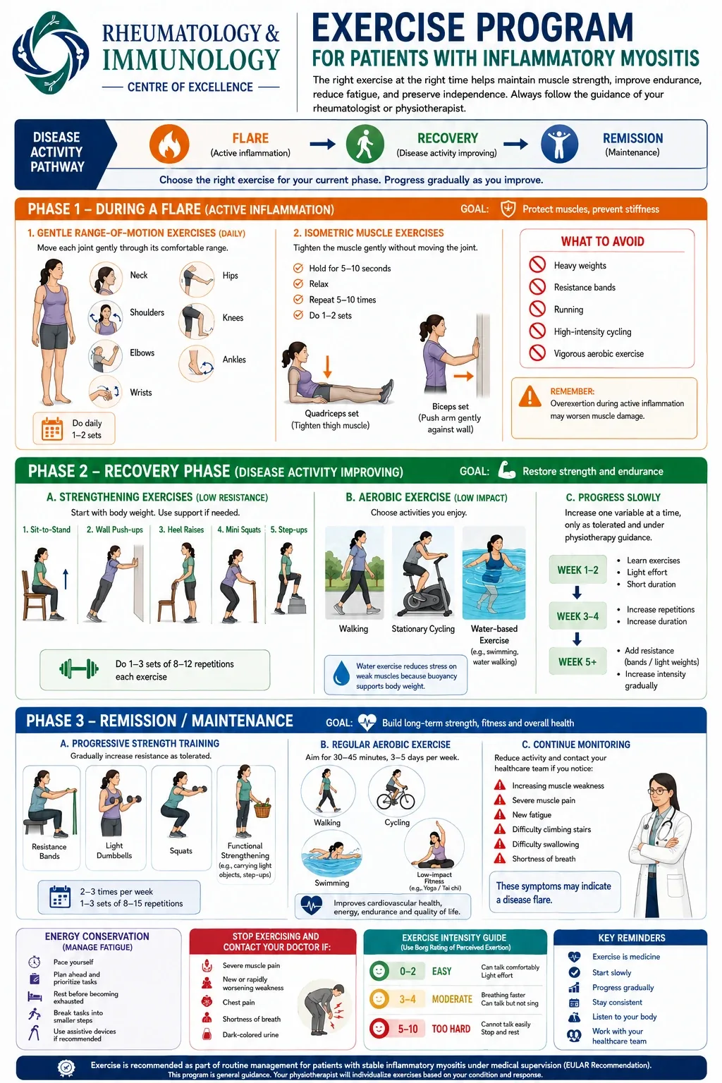 Illustrated three-phase exercise programme for inflammatory myositis: flare, recovery and remission